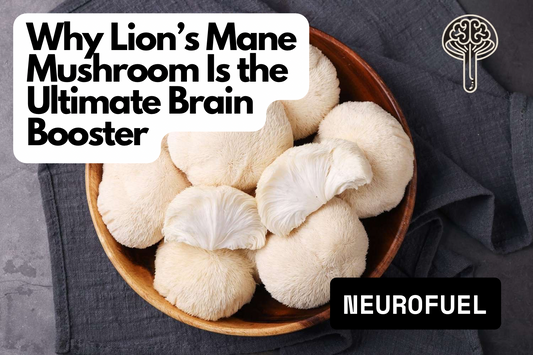 Why Lion’s Mane Mushroom Is the Ultimate Brain Booster